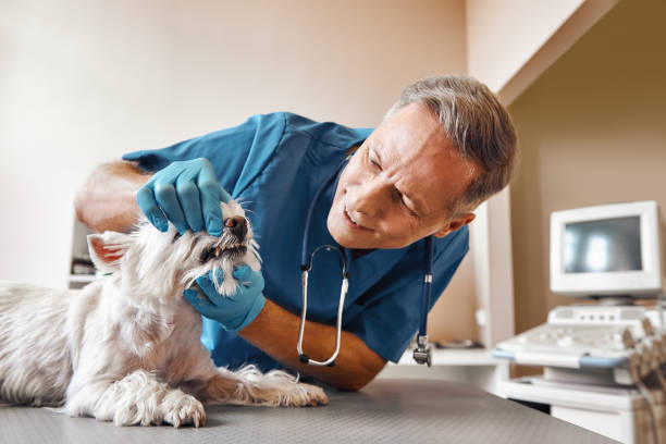 Best Weekend Emergency Dentist in Pittsburg, TX
